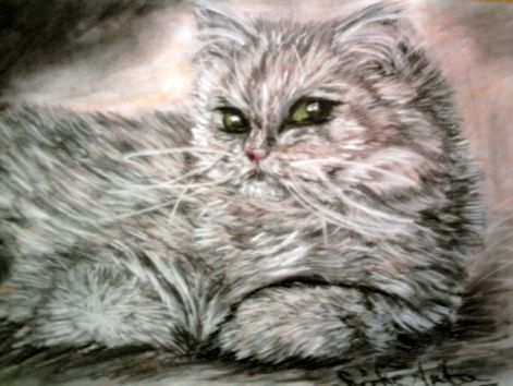 cica pasztell